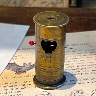 Microscope de poche - Floroscope - Insectoscope en laiton Microscope de poche - Floroscope - Insectoscope en laiton