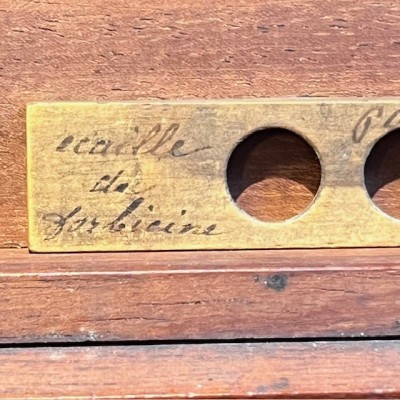 Antique drum microscope in brass -  Mahogany box - XIXth century