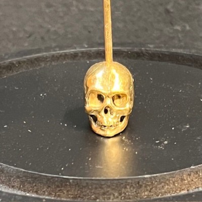 Chalcosoma atlas Scarab - Scarab under a glass dome