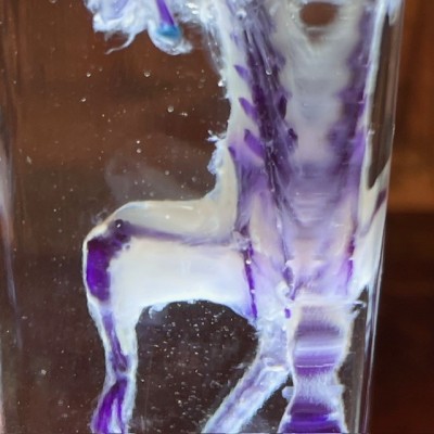 Diaphanization of a mouse - Mus musculus