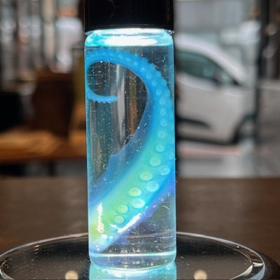 Octopus Tentacle Diaphanisation - Biological preparation