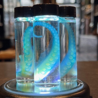 Octopus Tentacle Diaphanisation - Biological preparation