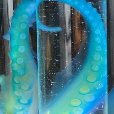 Octopus Tentacle Diaphanisation - Biological preparation