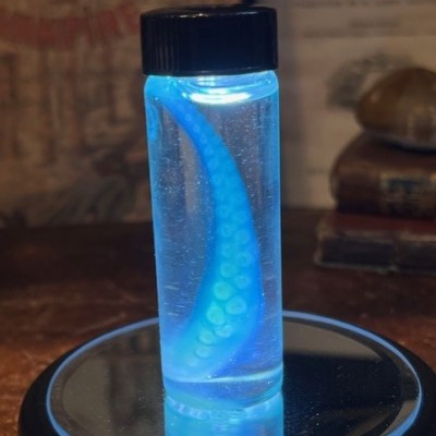 Octopus Tentacle Diaphanisation - Biological preparation