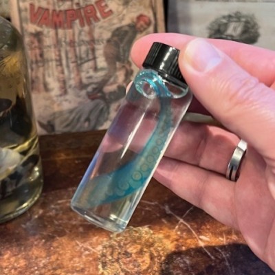 Octopus Tentacle Diaphanisation - Biological preparation