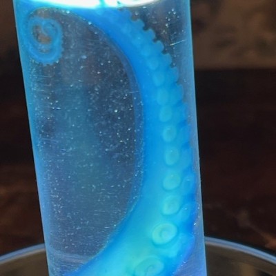 Octopus Tentacle Diaphanisation - Biological preparation