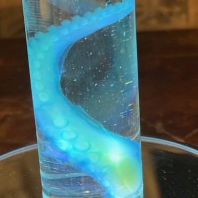 Octopus Tentacle Diaphanisation - Biological preparation