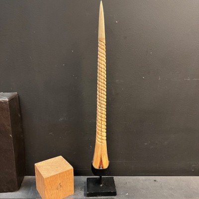 Marlin rostrum - L size