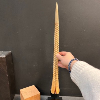 Marlin rostrum - L size