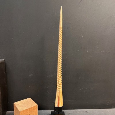 Rostre de Marlin sculpté en spirale - Licorne