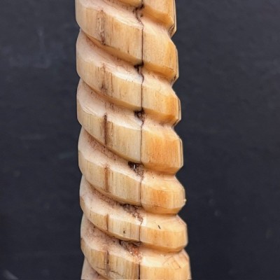 Marlin rostrum - L size