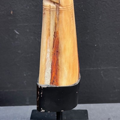 Marlin rostrum - L size