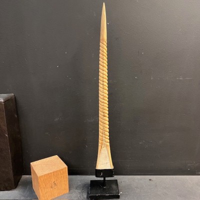 Marlin rostrum - L size