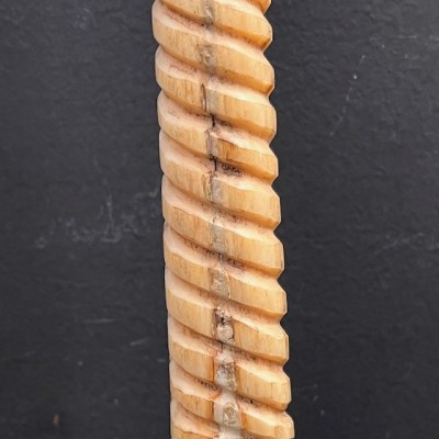 Marlin rostrum - L size