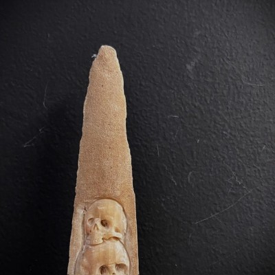 Carved swordfish rostrum - Skulls motifs - Papuan craftsmanship