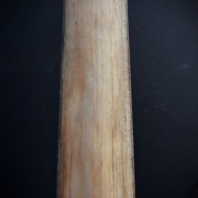 Rostre d'Espadon XXL 111.5cm- Xiphias gladius