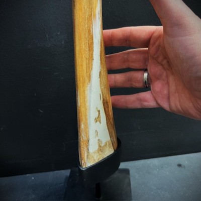 Rostrum of swordfish XXL