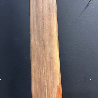 Rostre d'Espadon XXL 111.5cm- Xiphias gladius