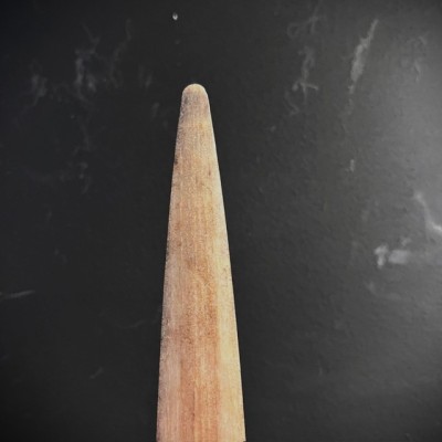 Rostrum of swordfish XXL