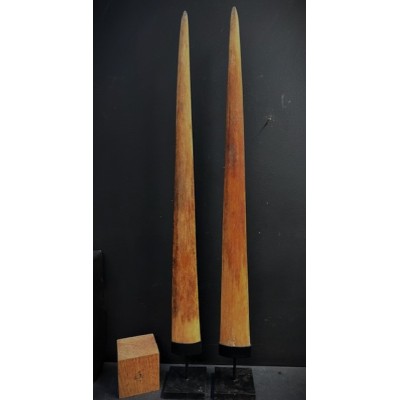 Rostrum of swordfish - Large - 93/95cm