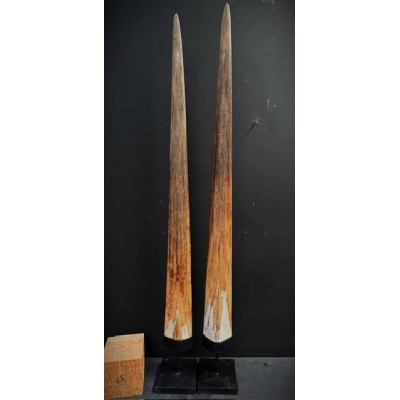 Rostre d'Espadon - Taille L - Environ 93-95cm