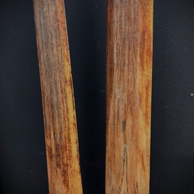 Rostre d'Espadon - Taille L - Environ 93-95cm