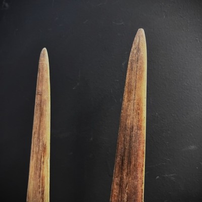 Rostre d'Espadon - Taille L - Environ 93-95cm