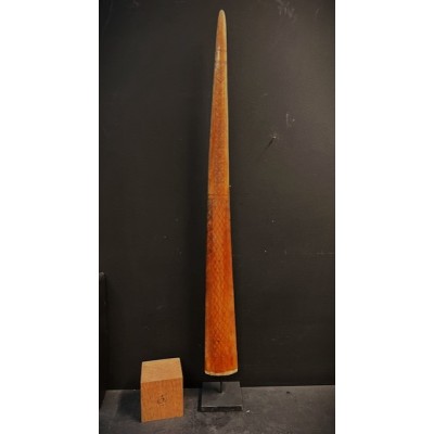 Engraved swordfish rostrum from Borneo - 99cm