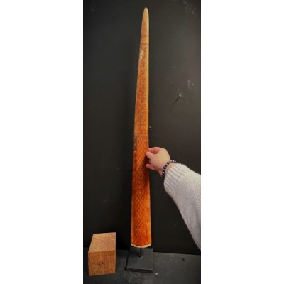 Engraved swordfish rostrum from Borneo - 99cm
