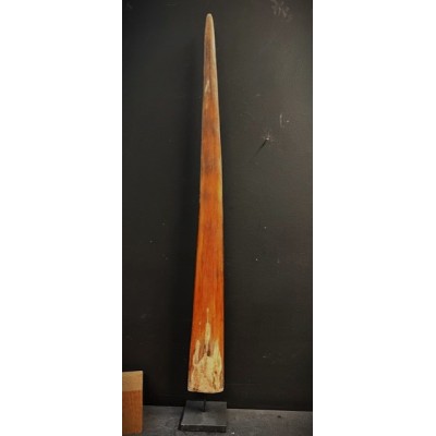 Engraved swordfish rostrum from Borneo - 99cm