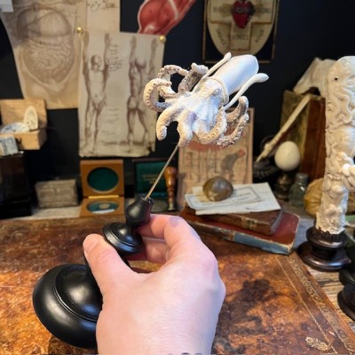 Deer antler wood sculpture - Octopus on pedestal