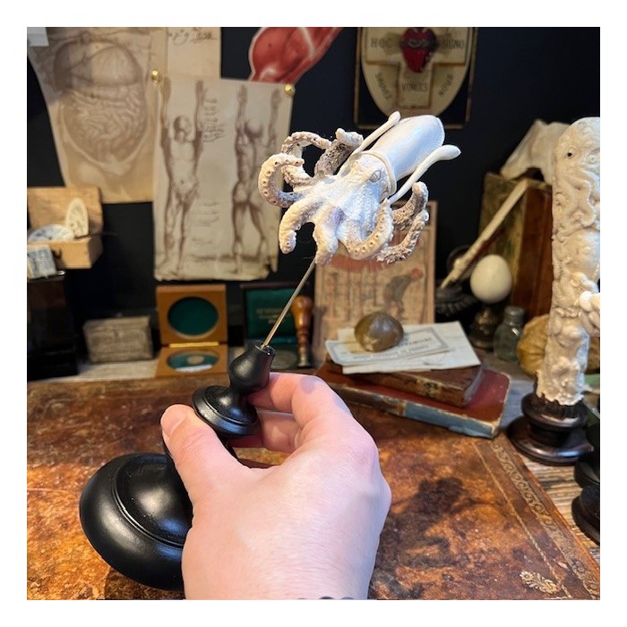 Deer antler wood sculpture - Octopus on pedestal