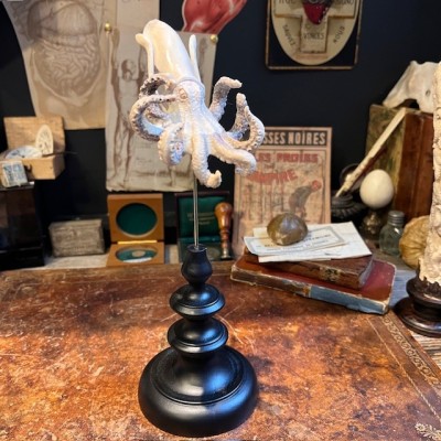 Deer antler wood sculpture - Octopus on pedestal