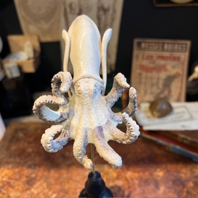 Deer antler wood sculpture - Octopus on pedestal