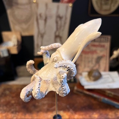 Deer antler wood sculpture - Octopus on pedestal