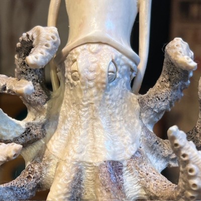 Deer antler wood sculpture - Octopus on pedestal
