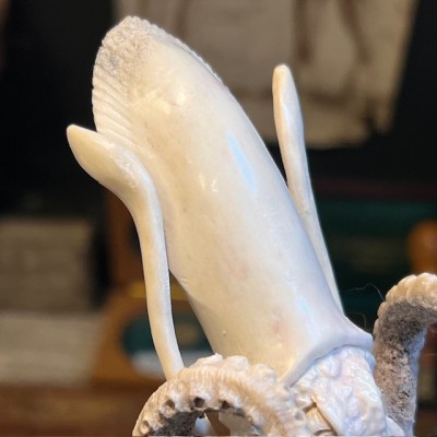 Deer antler wood sculpture - Octopus on pedestal