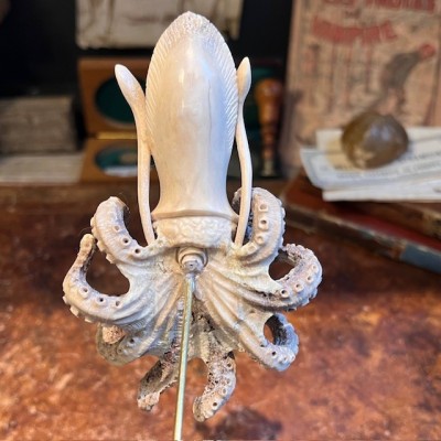 Deer antler wood sculpture - Octopus on pedestal