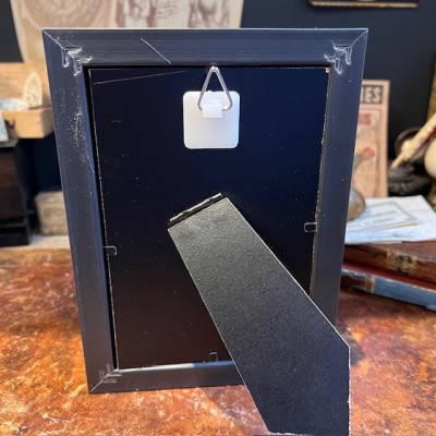 Grenouille arboricole - Grenouille volante - cadre boîte verre bombé