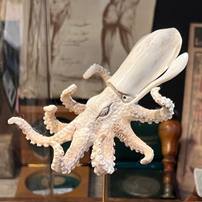 Deer antler sculpture - Octopus on base and under glass dome