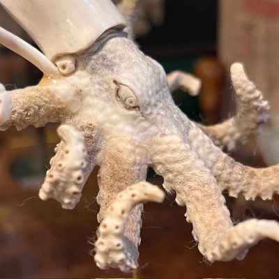 Deer antler sculpture - Octopus on base and under glass dome