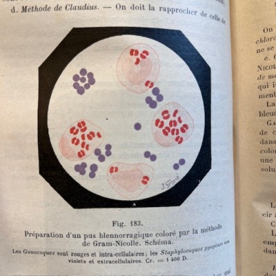 Précis de Bactériologie - Bacteriology - By Courmont - 1911