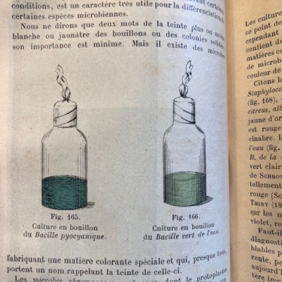 Précis de Bactériologie - Par Courmont - Collection Testut - 1911