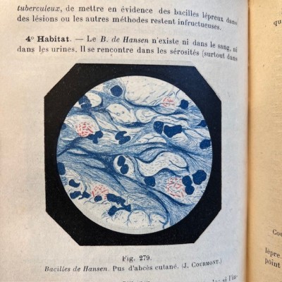 Précis de Bactériologie - Par Courmont - Collection Testut - 1911