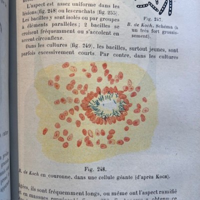 Précis de Bactériologie - Bacteriology - By Courmont - 1911