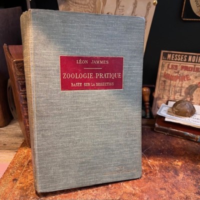 Zoologie basée sur la dissection - Par Jammes- Livre ancien de 1904