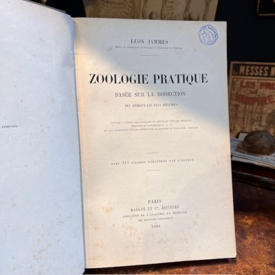 Zoologie basée sur la dissection - Par Jammes- Livre ancien de 1904