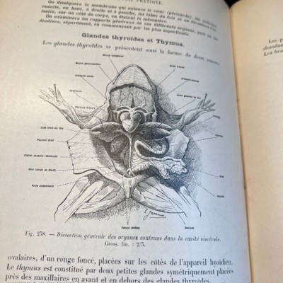 Zoologie basée sur la dissection - Par Jammes- Livre ancien de 1904