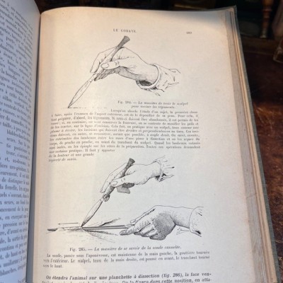 Zoology based on the dissection - Antique book of 1904 - Léon Jammes