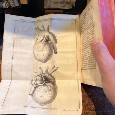 Bibliothèque Choisie de Médecine - Volume 6 - F.PLANQUE - 1749